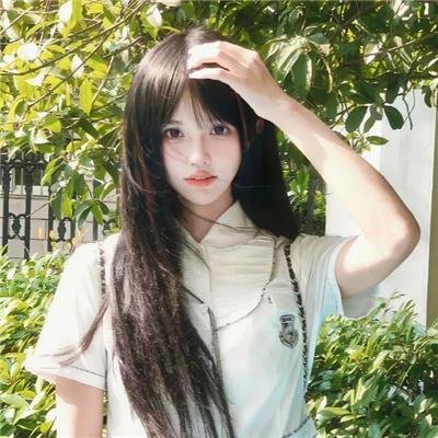 动物宝宝
